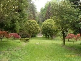 Батумский Ботанический сад